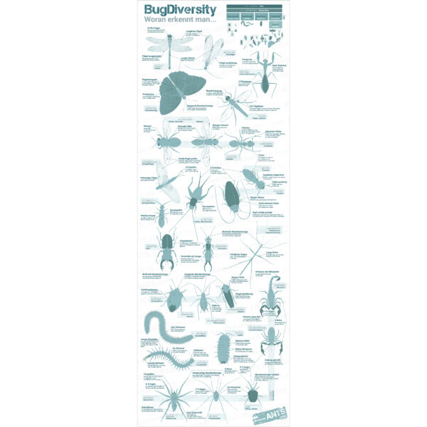 "Bug Diversity" Poster A2 (lang) - Almost-Perfect Edition