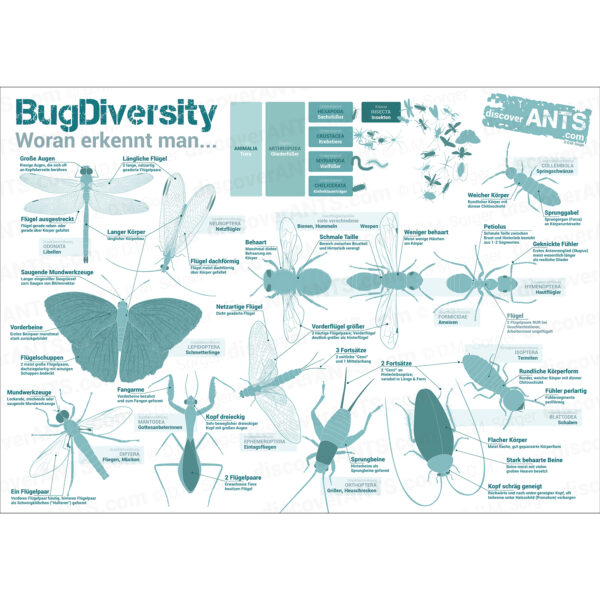 "Bug Diversity" Platzset A3 - Almost-Perfect Edition